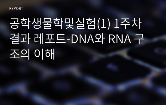 공학생물학및실험(1) 1주차 결과 레포트-DNA와 RNA 구조의 이해