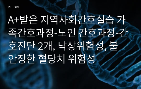 A+받은 지역사회간호실습 가족간호과정-노인 간호과정-간호진단 2개, 낙상위험성, 불안정한 혈당치 위험성