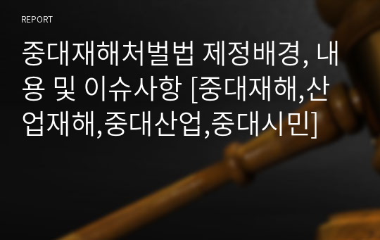 중대재해처벌법 제정배경, 내용 및 이슈사항 [중대재해,산업재해,중대산업,중대시민]