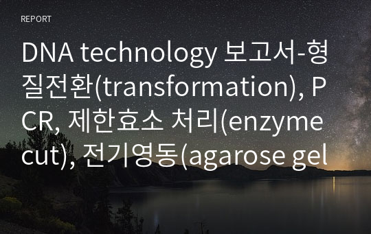 DNA technology 보고서-형질전환(transformation), PCR, 제한효소 처리(enzyme cut), 전기영동(agarose gel electrophoresis) 생물학실험 보고서