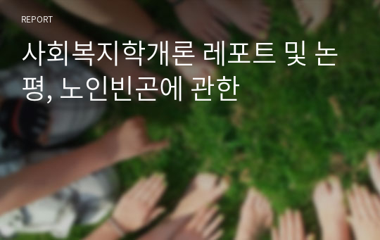 사회복지학개론 레포트 및 논평, 노인빈곤에 관한