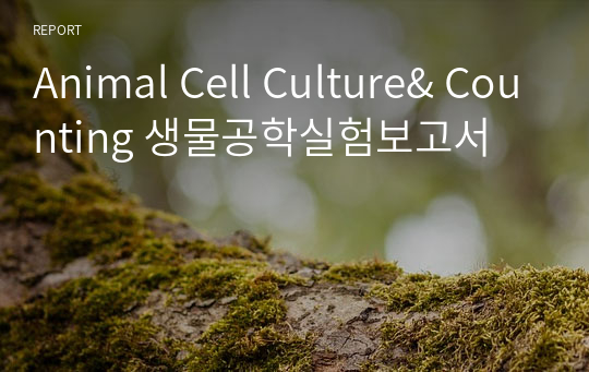 Animal Cell Culture&amp; Counting 생물공학실험보고서