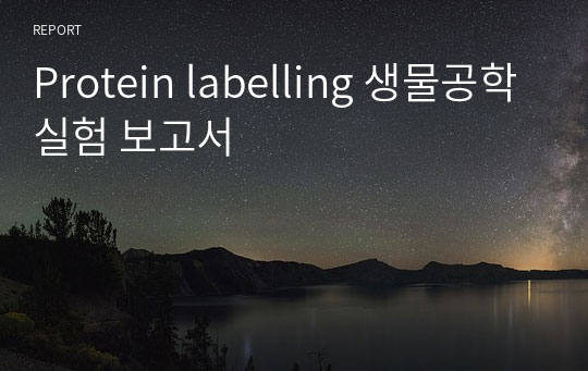 Protein labelling 생물공학실험 보고서