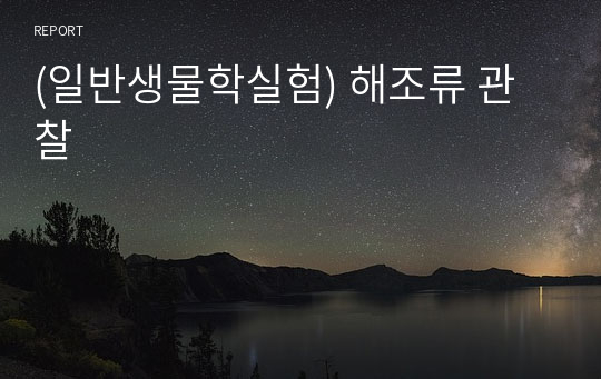 (일반생물학실험) 해조류 관찰