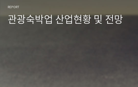 관광숙박업 산업현황 및 전망