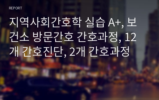 지역사회간호학 실습 A+, 보건소 방문간호 간호과정, 12개 간호진단, 2개 간호과정