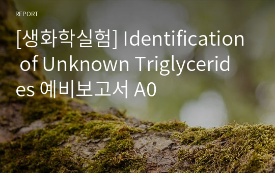 [생화학실험] Identification of Unknown Triglycerides 예비보고서 A0