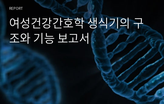 여성건강간호학 생식기의 구조와 기능 보고서