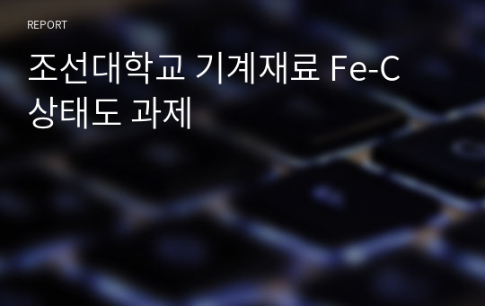 조선대학교 기계재료 Fe-C 상태도 과제