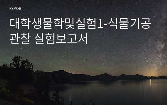 대학생물학및실험1-식물기공관찰 실험보고서