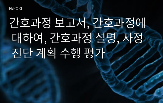 간호과정 보고서, 간호과정에 대하여, 간호과정 설명, 사정 진단 계획 수행 평가