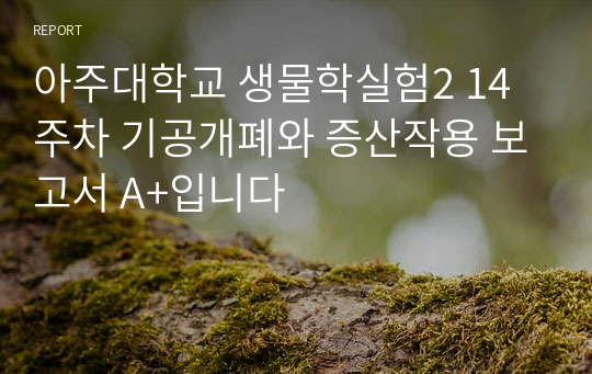 아주대학교 생물학실험2 14주차 기공개폐와 증산작용 보고서 A+입니다