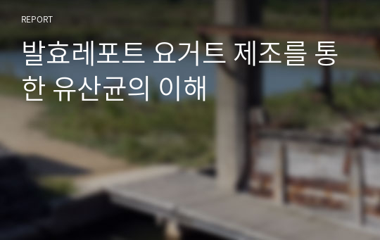 발효레포트 요거트 제조를 통한 유산균의 이해