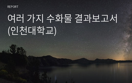 여러 가지 수화물 결과보고서(인천대학교)