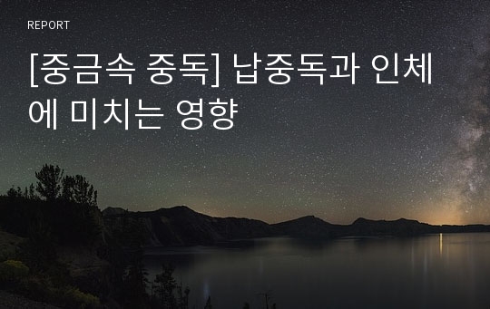 [중금속 중독] 납중독과 인체에 미치는 영향