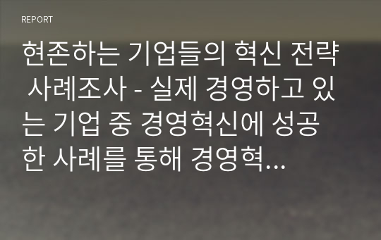 현존하는 기업들의 혁신 전략 사례조사 - 실제 경영하고 있는 기업 중 경영혁신에 성공한 사례를 통해 경영혁신을 정의