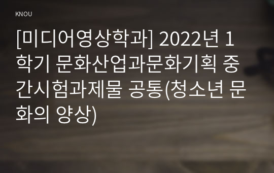 [미디어영상학과] 2022년 1학기 문화산업과문화기획 중간시험과제물 공통(청소년 문화의 양상)