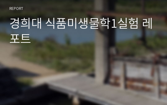 경희대 식품미생물학1실험 레포트