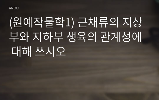 (원예작물학1) 근채류의 지상부와 지하부 생육의 관계성에 대해 쓰시오