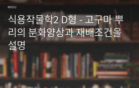 식용작물학2 D형 - 고구마 뿌리의 분화양상과 재배조건을 설명