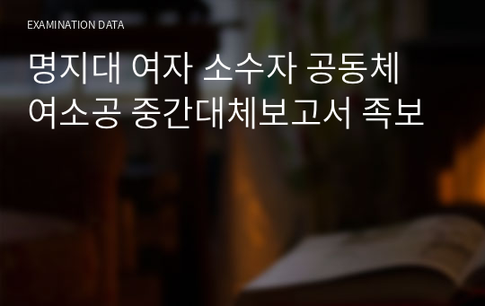 명지대 여자 소수자 공동체 여소공 중간대체보고서 족보