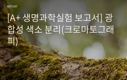 [A+ 생명과학실험 보고서] 광합성 색소 분리(크로마토그래피)