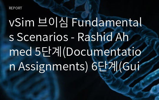 vSim 브이심 Fundamentals Scenarios - Rashid Ahmed 5단계(Documentation Assignments) 6단계(Guided Reflection Questions)