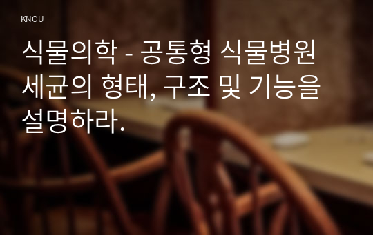 식물의학 - 공통형 식물병원세균의 형태, 구조 및 기능을 설명하라.