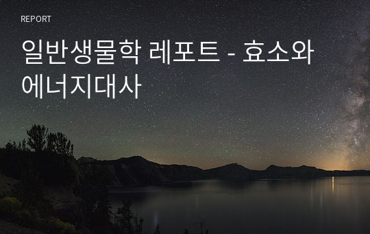 일반생물학 레포트 - 효소와 에너지대사