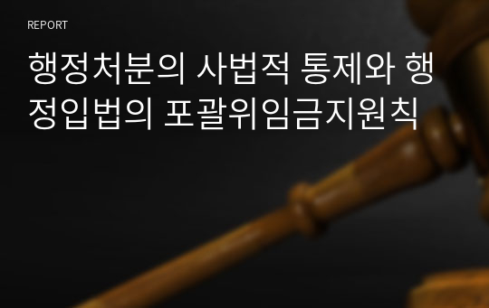 행정처분의 사법적 통제와 행정입법의 포괄위임금지원칙