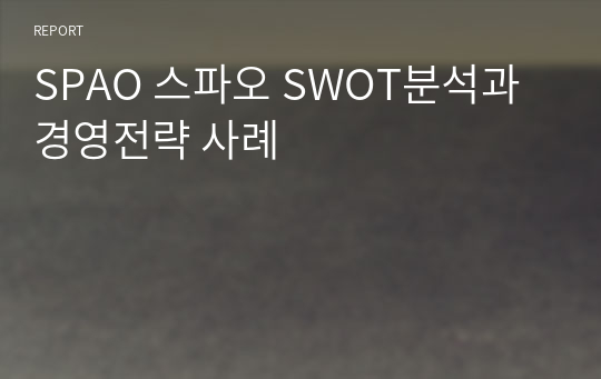 SPAO 스파오 SWOT분석과 경영전략 사례