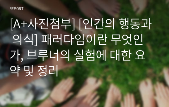 [A+사진첨부] [인간의 행동과 의식] 패러다임이란 무엇인가, 브루너의 실험에 대한 요약 및 정리