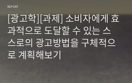 [광고학][과제] 소비자에게 효과적으로 도달할 수 있는 스스로의 광고방법을 구체적으로 계획해보기