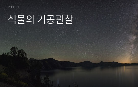 식물의 기공관찰