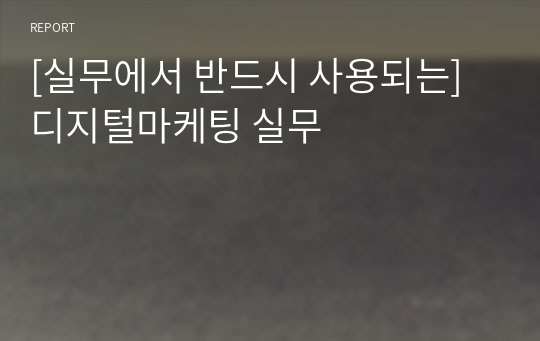 [실무에서 반드시 사용되는] 디지털마케팅 실무