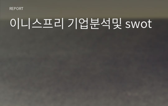 이니스프리 기업분석및 swot