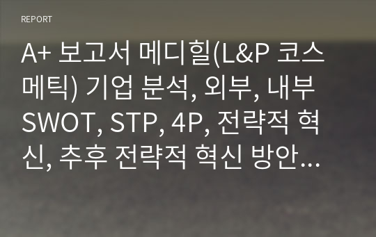 A+ 보고서 메디힐(L&amp;P 코스메틱) 기업 분석, 외부, 내부 SWOT, STP, 4P, 전략적 혁신, 추후 전략적 혁신 방안 제안, 해외(이라크) 진출 계획안