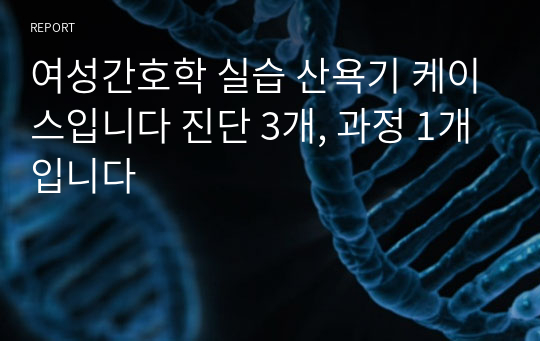 여성간호학 실습 산욕기 케이스입니다 진단 3개, 과정 1개입니다