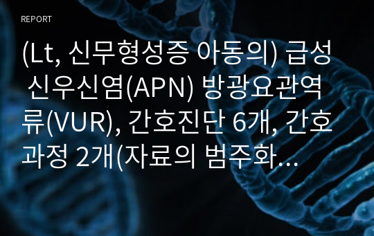 (Lt, 신무형성증 아동의) 급성 신우신염(APN) 방광요관역류(VUR), 간호진단 6개, 간호과정 2개(자료의 범주화 있음)