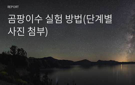 곰팡이수 실험 방법(단계별 사진 첨부)