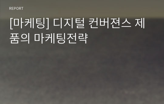 [마케팅] 디지털 컨버젼스 제품의 마케팅전략