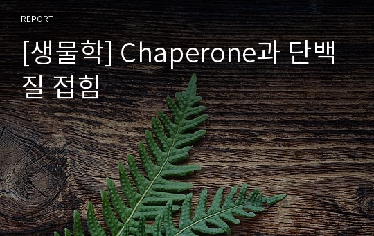 [생물학] Chaperone과 단백질 접힘