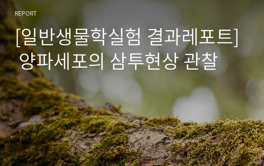 [일반생물학실험 결과레포트] 양파세포의 삼투현상 관찰