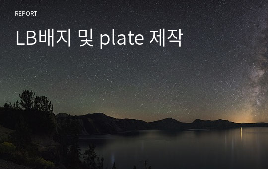 LB배지 및 plate 제작