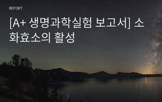 [A+ 생명과학실험 보고서] 소화효소의 활성