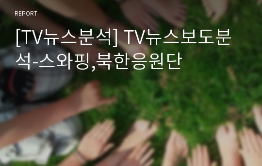 [TV뉴스분석] TV뉴스보도분석-스와핑,북한응원단