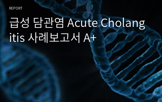 급성 담관염 Acute Cholangitis 사례보고서 A+