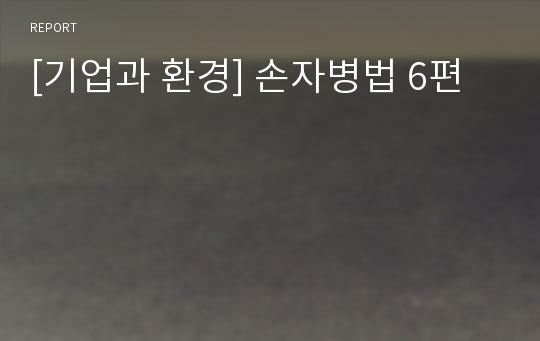 [기업과 환경] 손자병법 6편