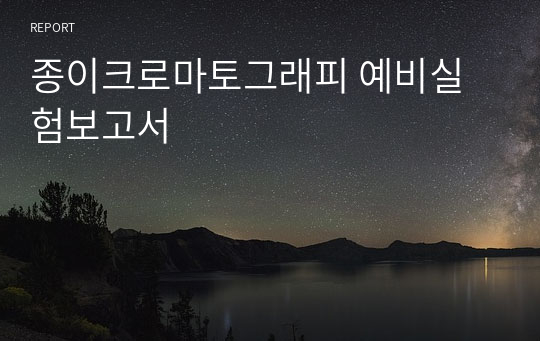 종이크로마토그래피 예비실험보고서