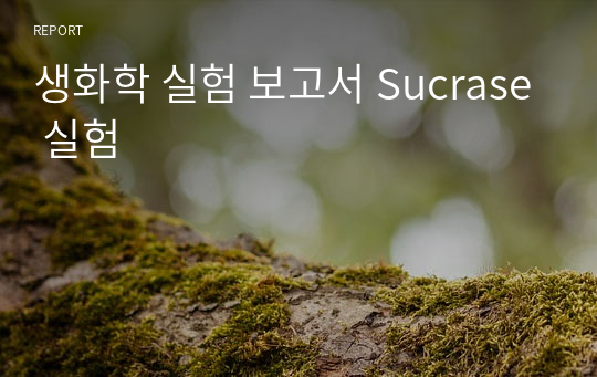 생화학 실험 보고서 Sucrase 실험